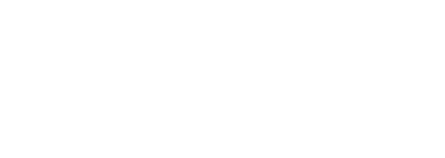 Center for Application and Smart Governance